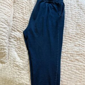 Pure JJill  WOMAN  Navy Blue Pants/ Jean like